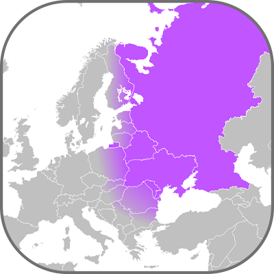 Kelet-európai világítási piac